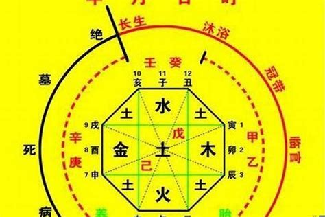 五行喜金水|八字入门基础 第六篇 如何判断八字喜用神